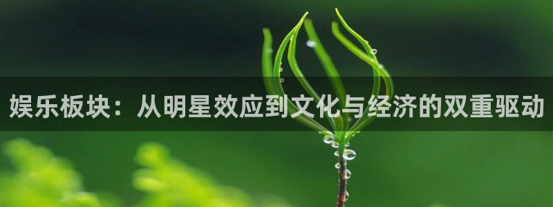 彩神平台在线注册：娱乐板块：从明星效应到文化与经济的双重驱动