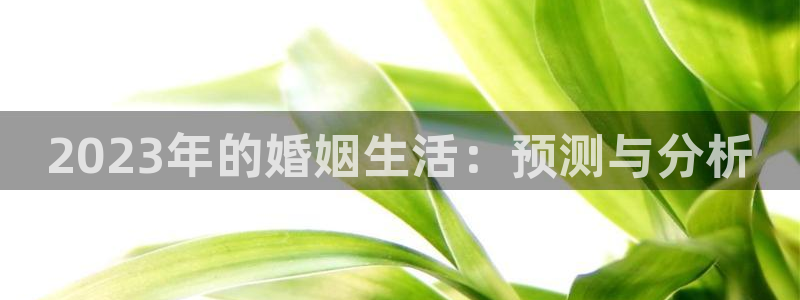 彩神体育合法嘛：2023年的婚姻生活：预测与分析