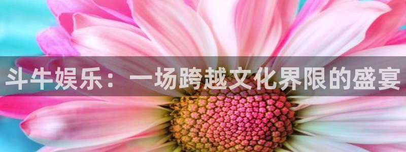 彩神集团