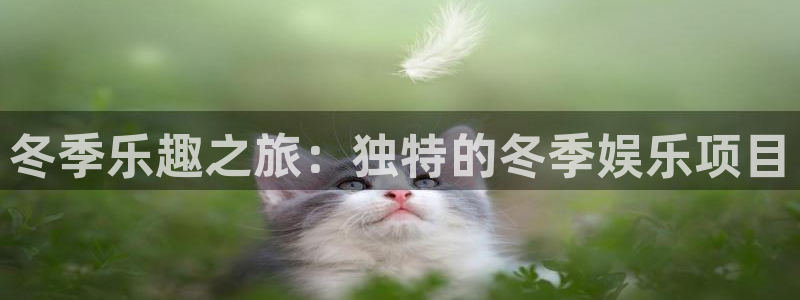 彩神登录界面入口：冬季乐趣之旅：独特的冬季娱乐项目