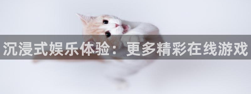彩神代理：沉浸式娱乐体验：更多精彩在线游戏