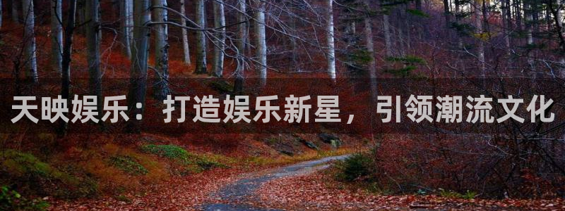 彩神电子有限公司：天映娱乐：打造娱乐新星，引领潮流文化