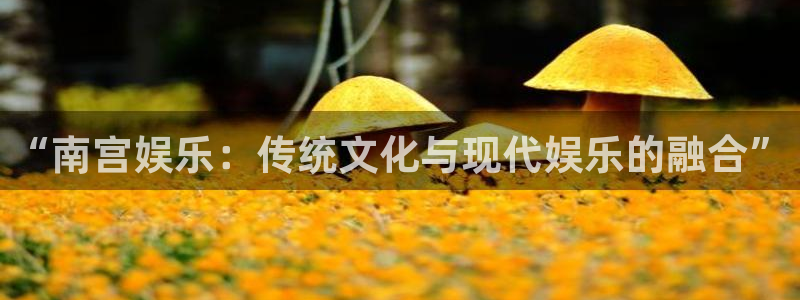 彩神主管：“南宫娱乐：传统文化与现代娱乐的融合”