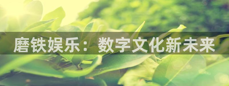 彩神招商：磨铁娱乐：数字文化新未来