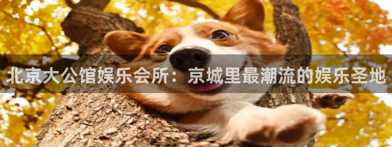 彩神凯捷平台注册链接：北京大公馆娱乐会所：京城里最潮流的娱乐圣地