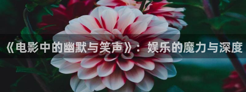 彩神游戏有哪些好玩的：《电影中的幽默与笑声》：娱乐的魔力与深度