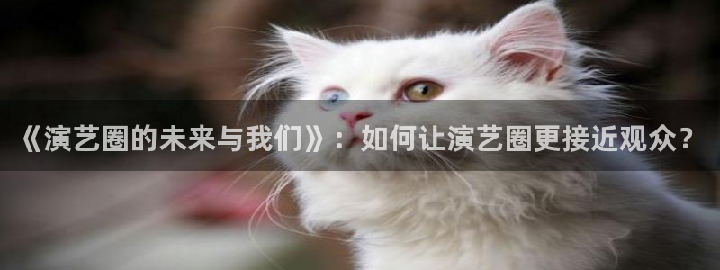 上海彩神汽车电子有限公司：《演艺圈的未来与我们》：如何让演艺圈更接近观众？