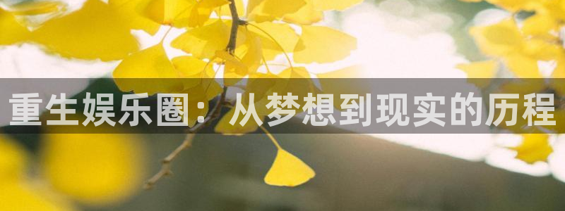 彩神3登录：重生娱乐圈：从梦想到现实的历程