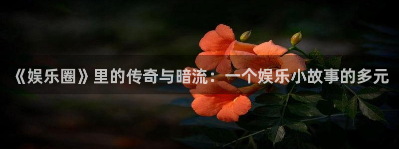 彩神平台在线注册：《娱乐圈》里的传奇与暗流：一个娱乐小故事的多元