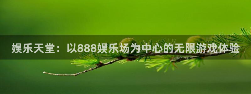 彩神招商：娱乐天堂：以888娱乐场为中心的无限游戏体验