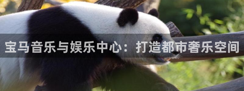 彩神2平台登录：宝马音乐与娱乐中心：打造都市奢乐空间